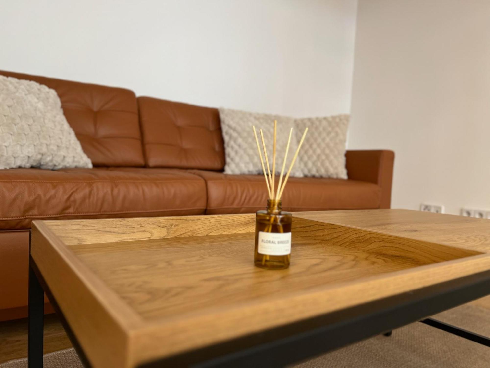 Neu! City-Loft-Apartment Im Goethe Palais I 5P I Lift I Parkplatz I Zentrum I Helios Aue  Buitenkant foto